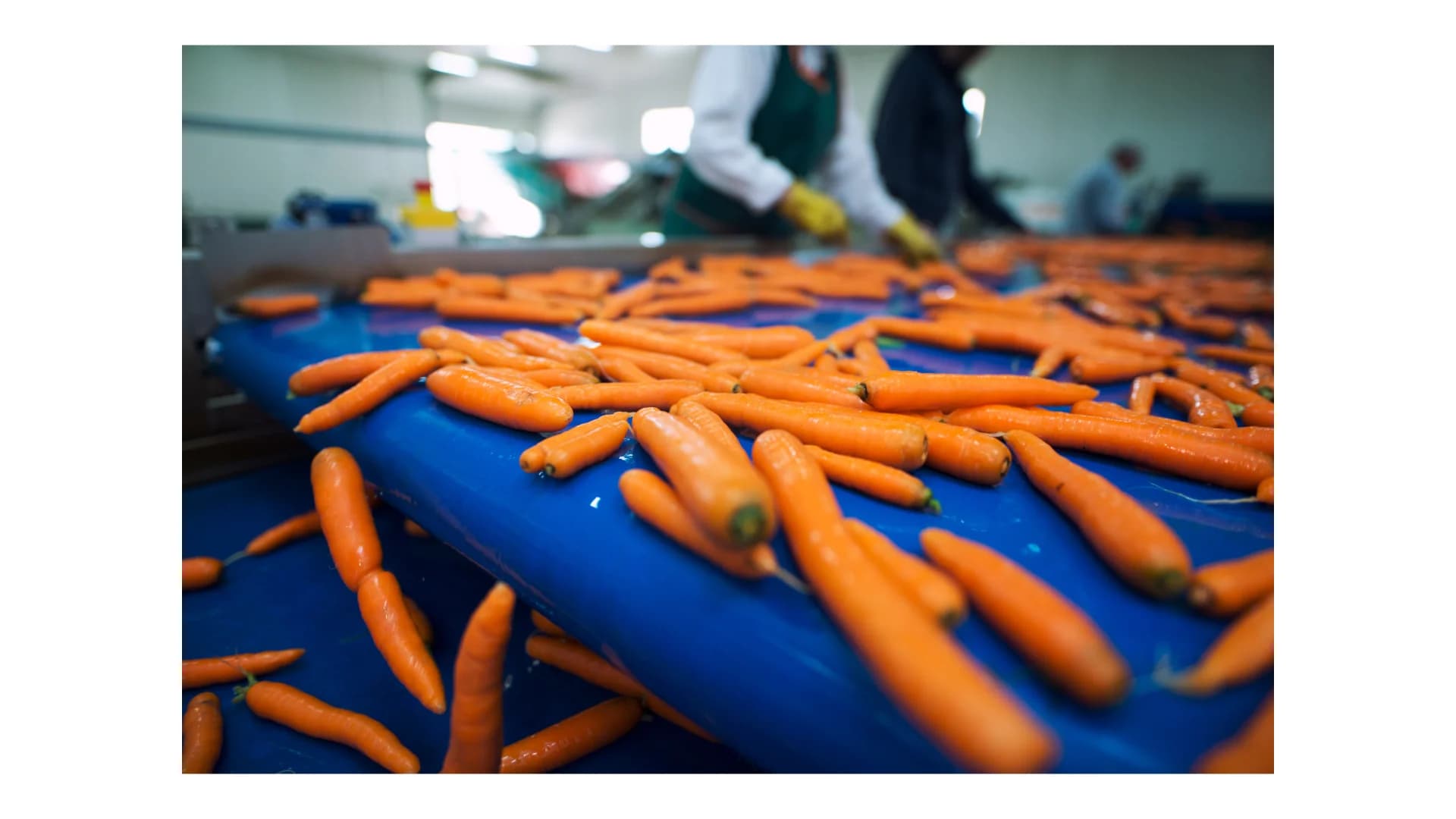 conveyor and handling - Application image 4