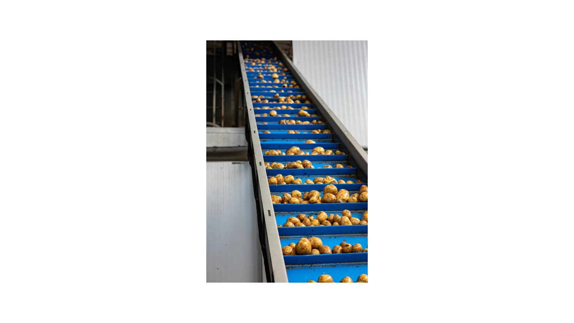 conveyor and handling - Application image 9