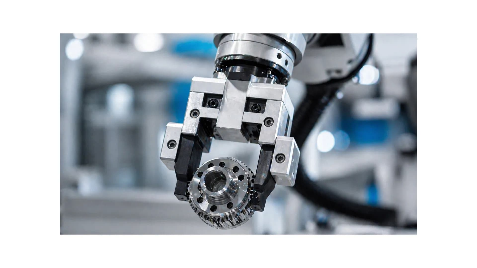 gripper and end - Application image 12