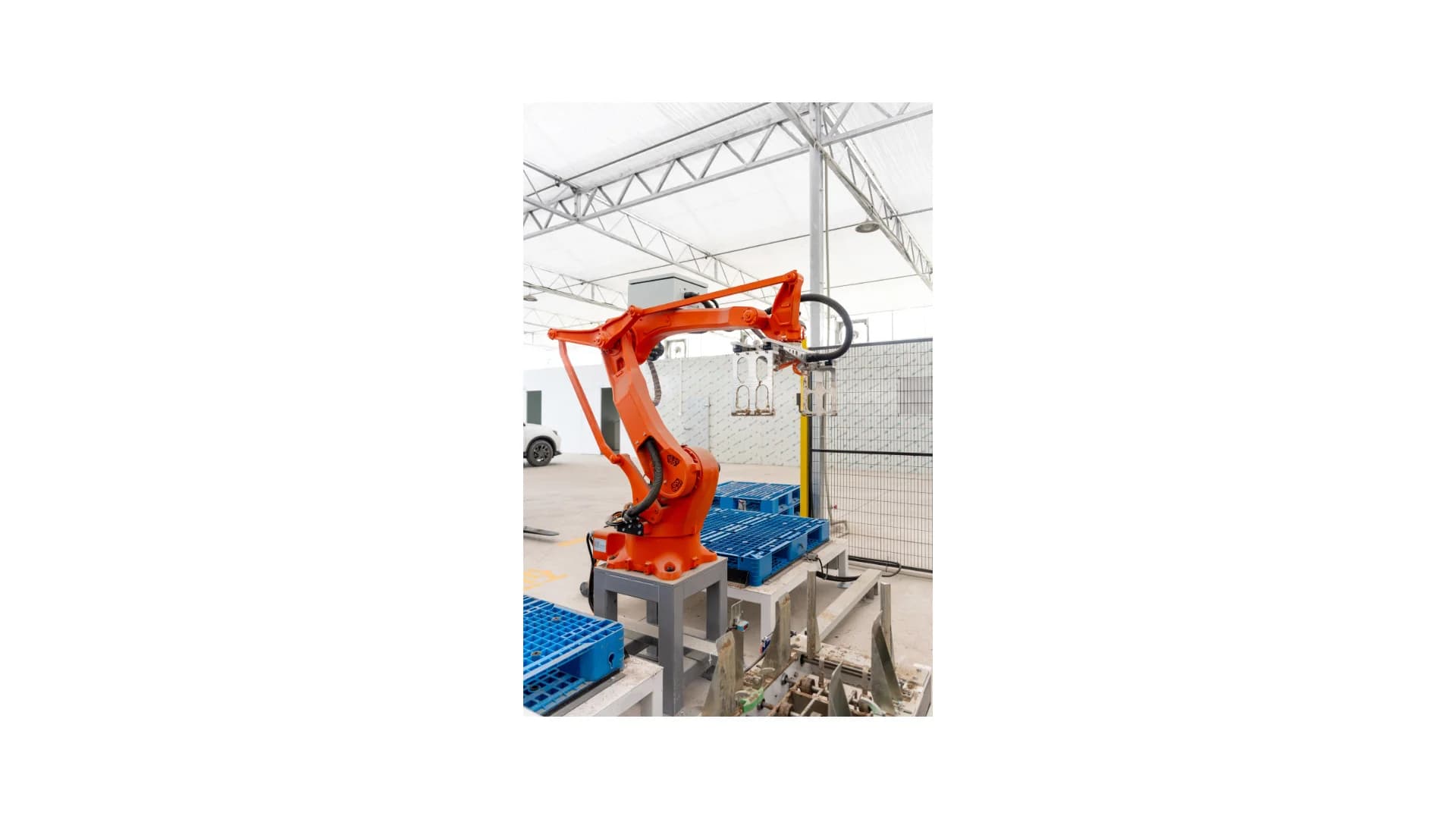mobile palletizer - Application image 6